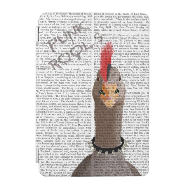 Punk Rock Goose iPad Mini Cover (Front)