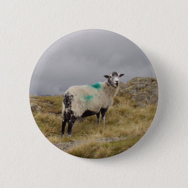 Punk sheep button (Front)