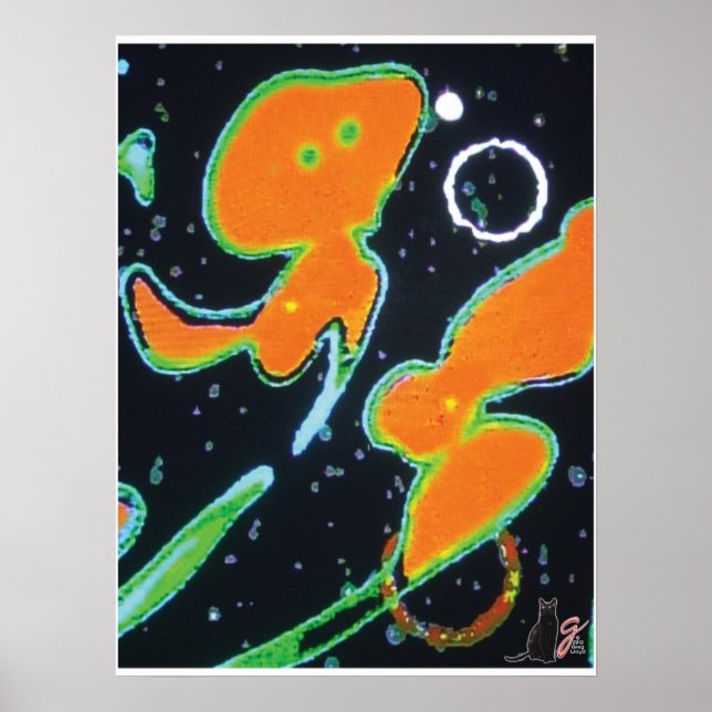 Punkin KC Image Poster (Front)