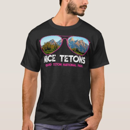 Punny Nice Tetons Teton Mountain  T_Shirt