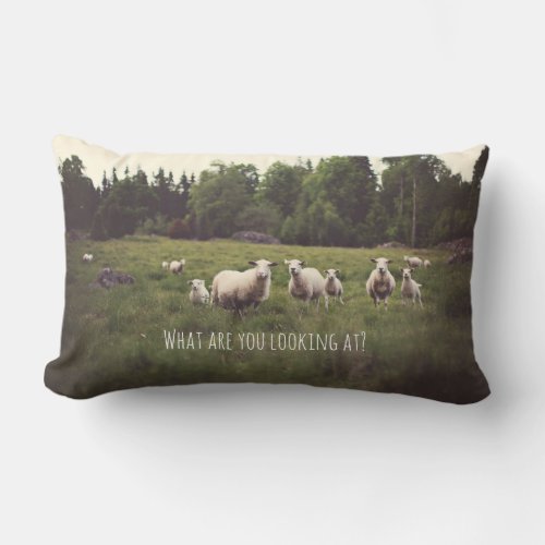 Punny White Sheep  lambs in lush green pasture Lumbar Pillow