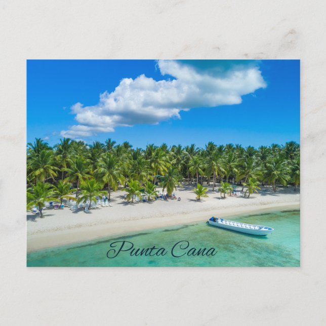 Punta Cana Beautiful Tropical Sandy Beach Palms   Postcard (Front)
