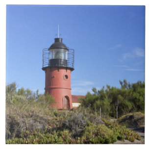 Punta Delgada, Valdes Peninsula, Chubut Ceramic Tile