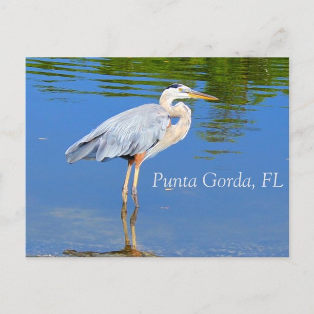 Punta Gorda, FL Postcard (Front)