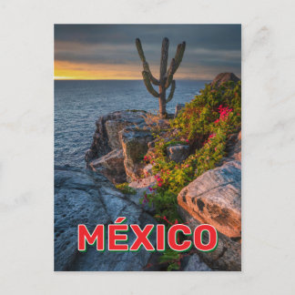 Punta Lobos, Baja California, México Postcard