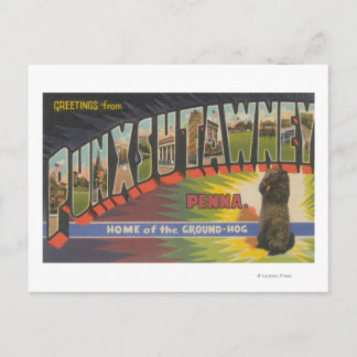Punxsutawney, Pennsylvania (Groundhog) Postcard
