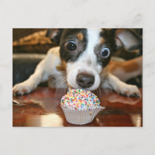 Pup Cake Postcard