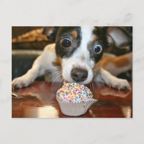 Pup Cake Postcard