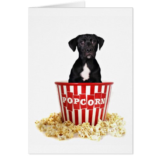 Pup-Corn anyone? Cards (Front)