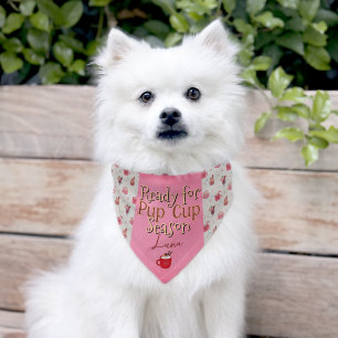 Pup Cup Season Medium Pet Bandana Collar