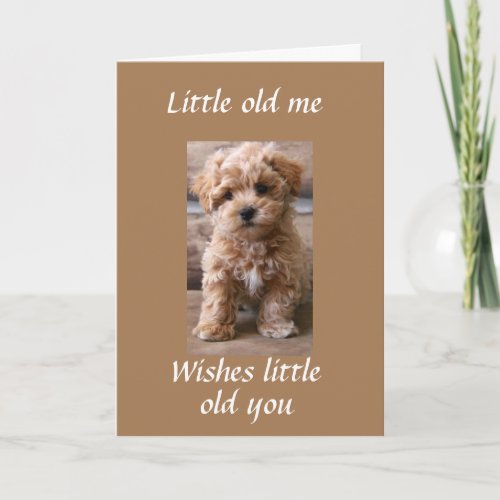 PUP HELPS SAY HAPPY BIRTHDAY TWIN CARD