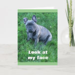 Pup Helps Say **happy Birthday Twin** Card at Zazzle