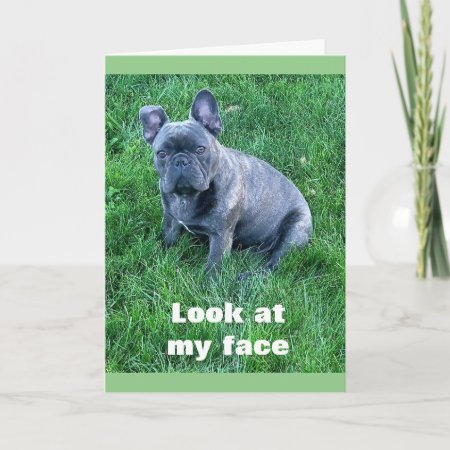 Pup Helps Say **happy Birthday Twin** Card