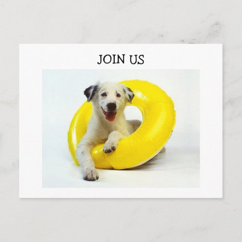 PUP IN INNER TUVE SAYS JOIN US_POOL INVITATION