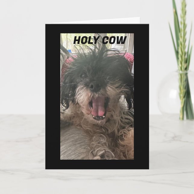 PUP IS BAFFLED-HOW DID YOU TURN "60" CARD (Front)