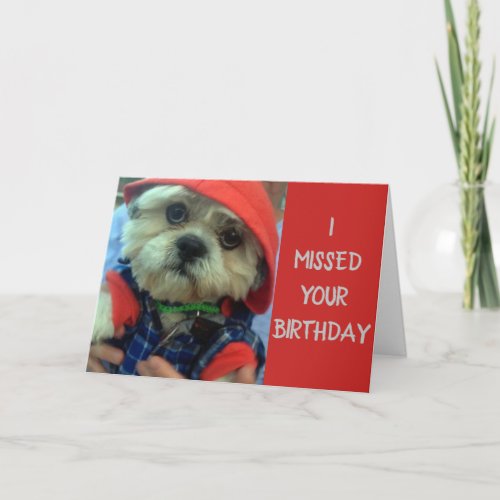 PUP IS SAD HE MISSED YOUR BIRTHDAY CARD