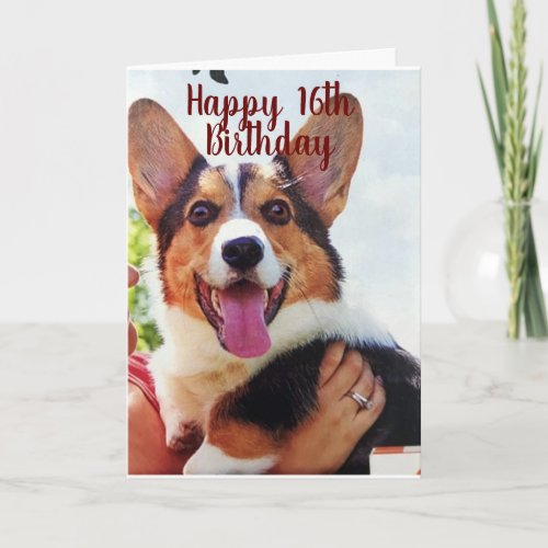 PUP IS SO EXCITED FOR YOUR 16th BIRTHDAY Card