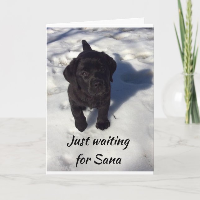 *PUP IS WAITING FOR SANTA* MERRY CHRISTMAS CARD (Front)