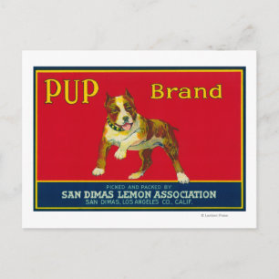 Pup Lemon LabelSan Dimas, CA Postcard