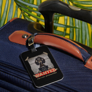 Pup-Lick Intoxication: The Elegant Afghan Hound's  Luggage Tag
