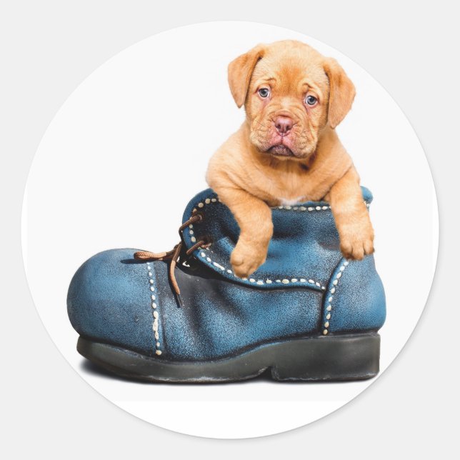 Pup 'n Boots Classic Round Sticker (Front)
