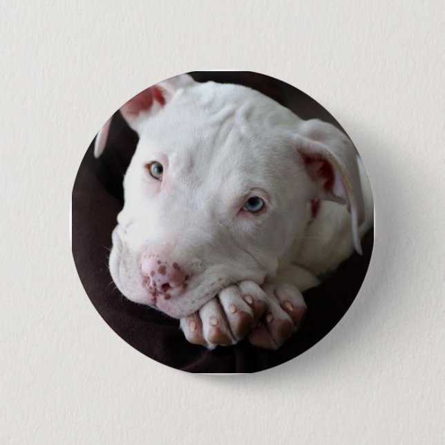 Pup Pinback Button (Front)