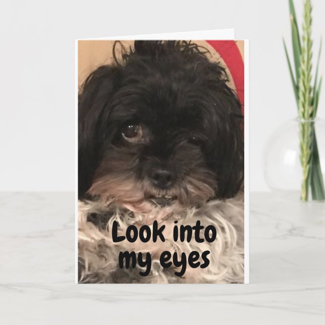 PUP SAYS "HAPPY BIRTHDAY" TO YOU! CARD (Front)