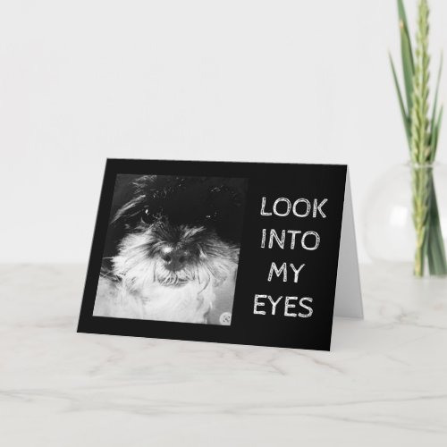 PUP SAYS LOOK INTO MY EYES BIRTHDAY WISHES CARD