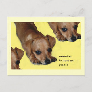 Pupnosis Haiku Art Postcard - Collectible Postcard