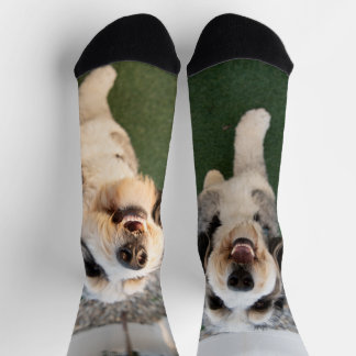 Pupper Socks
