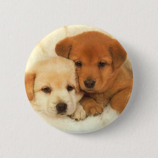 puppies_1 pinback button