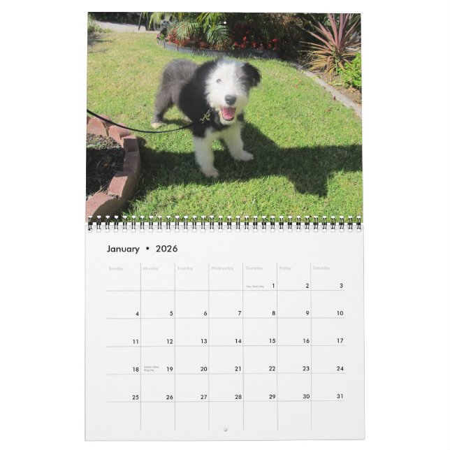 Puppies 2012 June change Calendar (Jan 2026)