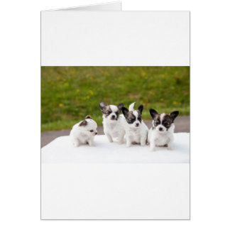 puppies-453532.jpg cards