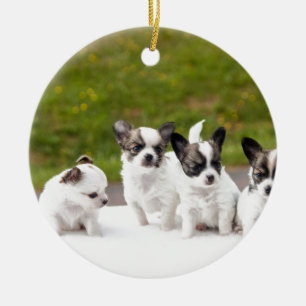 puppies-453532.jpg ceramic ornament