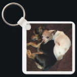 Puppies and Art Keychain<br><div class="desc">Puppies  and Art</div>