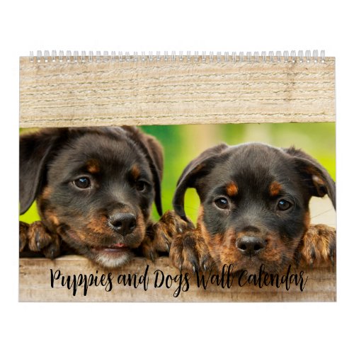 Puppies and Dogs Wall Calendar