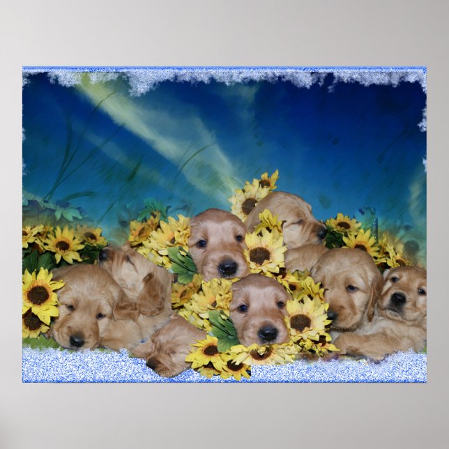 PUPPIES AND FLOWERS - GOLDEN RETRIEVER POSTER (Front)