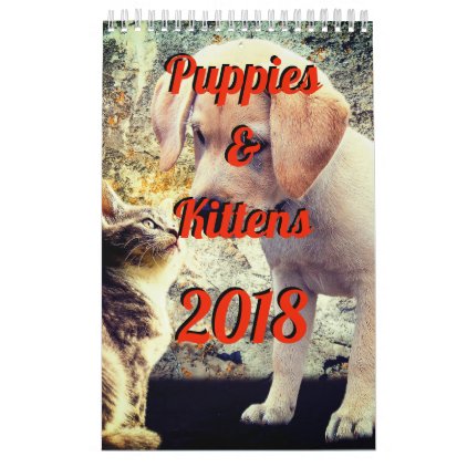 Puppies and Kittens 2018 Calendar