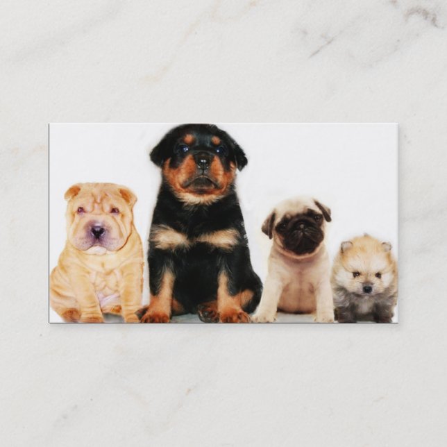 Puppies Business card (Front)