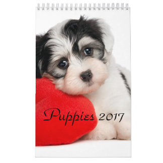 Puppies Calendar 2017
