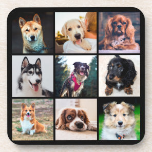Puppies Dogs Instagram Photos Beverage Coaster
