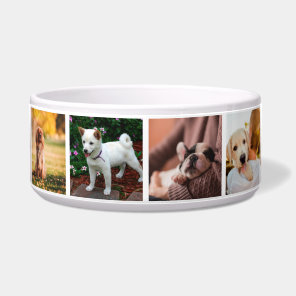 Puppies Dogs Instagram Photos Bowl
