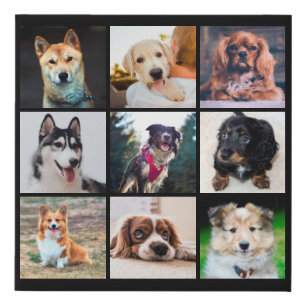 Puppies Dogs Instagram Photos Faux Canvas Print