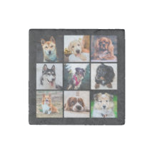 Puppies Dogs Instagram Photos