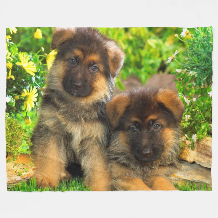 Puppies Fleece Blanket Zazzle