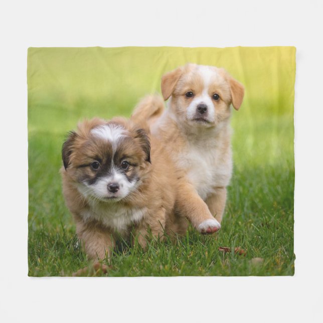 Puppies Fleece Blanket (Front (Horizontal))
