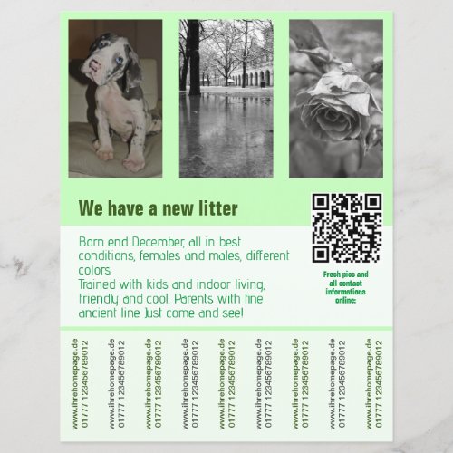 puppies for sale flyer template QR code