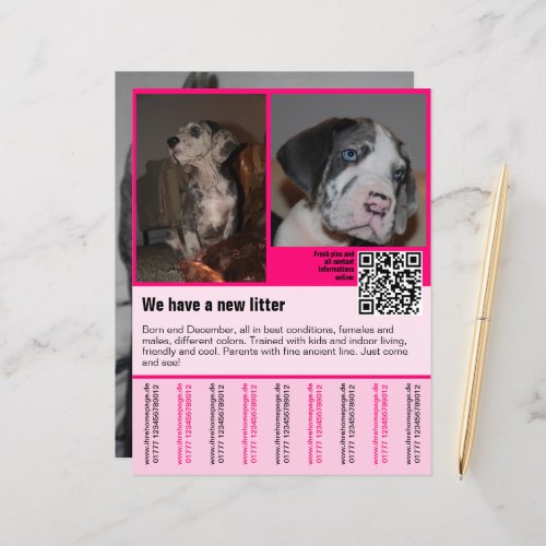 puppies for sale flyer template QR code