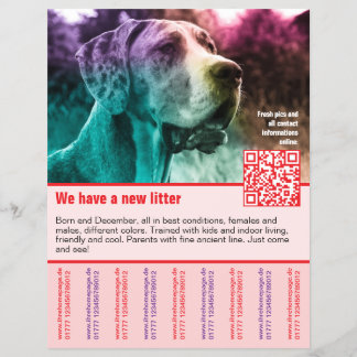 puppies for sale flyer template QR code