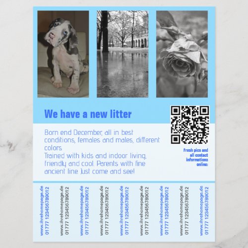 puppies for sale flyer with QR code